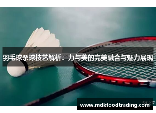 羽毛球杀球技艺解析：力与美的完美融合与魅力展现