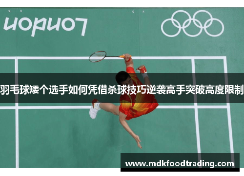 羽毛球矮个选手如何凭借杀球技巧逆袭高手突破高度限制