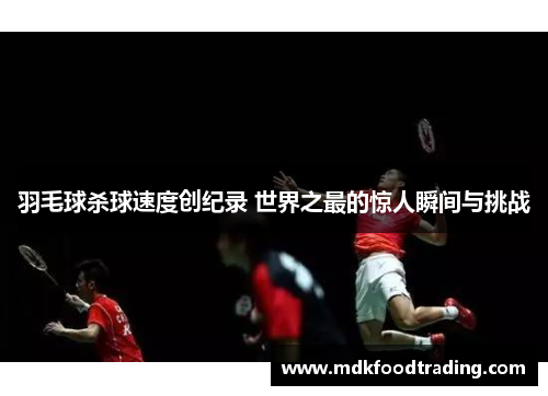 羽毛球杀球速度创纪录 世界之最的惊人瞬间与挑战