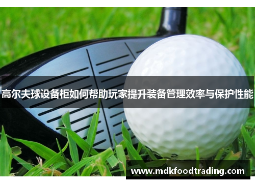 高尔夫球设备柜如何帮助玩家提升装备管理效率与保护性能