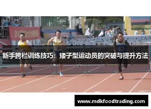 新手跨栏训练技巧：矮子型运动员的突破与提升方法