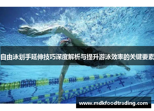 自由泳划手延伸技巧深度解析与提升游泳效率的关键要素