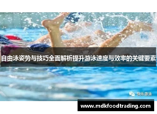 自由泳姿势与技巧全面解析提升游泳速度与效率的关键要素