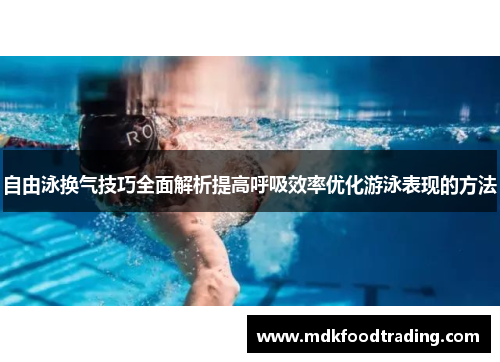 自由泳换气技巧全面解析提高呼吸效率优化游泳表现的方法