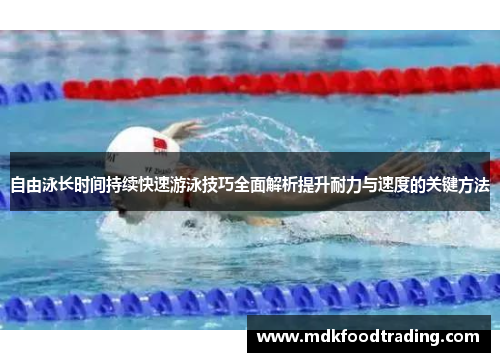 自由泳长时间持续快速游泳技巧全面解析提升耐力与速度的关键方法