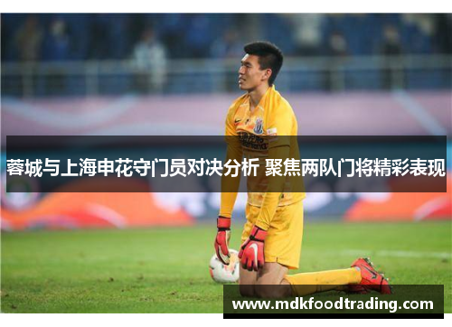 蓉城与上海申花守门员对决分析 聚焦两队门将精彩表现