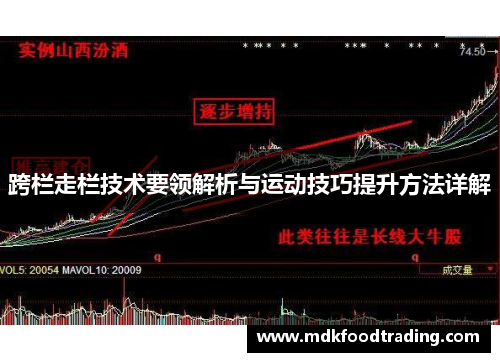 跨栏走栏技术要领解析与运动技巧提升方法详解