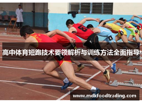 高中体育短跑技术要领解析与训练方法全面指导