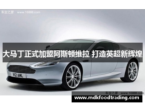 大马丁正式加盟阿斯顿维拉 打造英超新辉煌