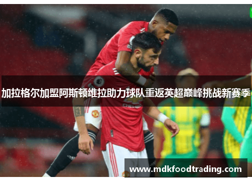 加拉格尔加盟阿斯顿维拉助力球队重返英超巅峰挑战新赛季